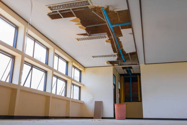 Best Residential water damage restoration  in Negaunee, MI