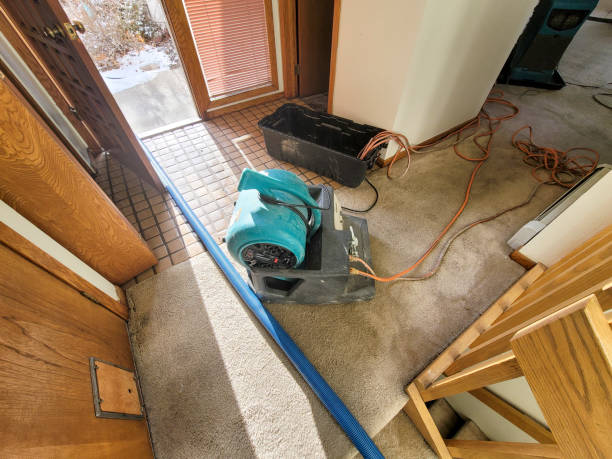 Best 24/7 water damage repair  in Negaunee, MI